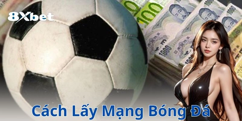 Phản công nhanh: Cơ hội không thể bỏ lỡ