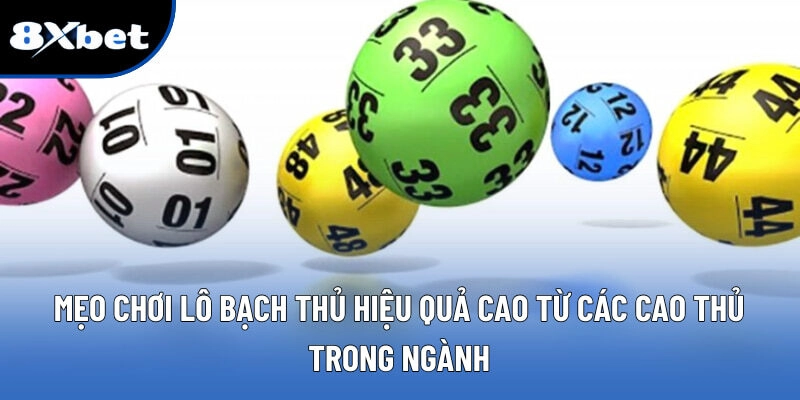 Lô Bạch Thủ – Cách Bắt Số Chuẩn Xác Mỗi Ngày Tại 8XBET