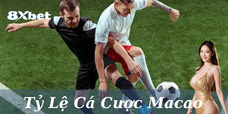 Tỷ Lệ Cá Cược Macao: 4 Cách đặt kèo sinh lời cao nhất 2025