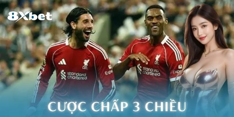 Nền tảng mang lại trải nghiệm cược chấp 3 chiều tốt